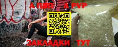 спиды Бердск