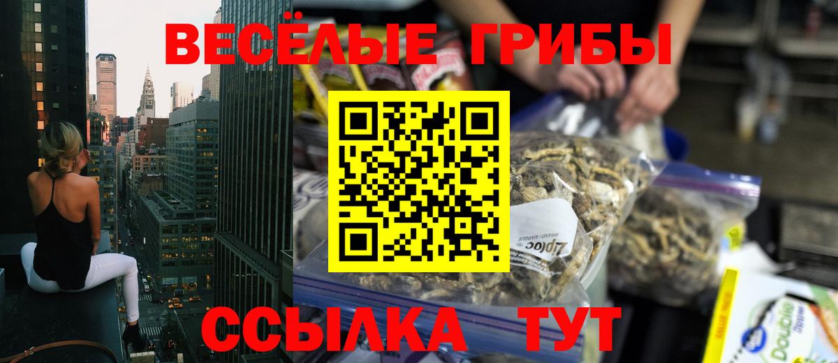 Псилоцибиновые грибы мицелий Горячий Ключ